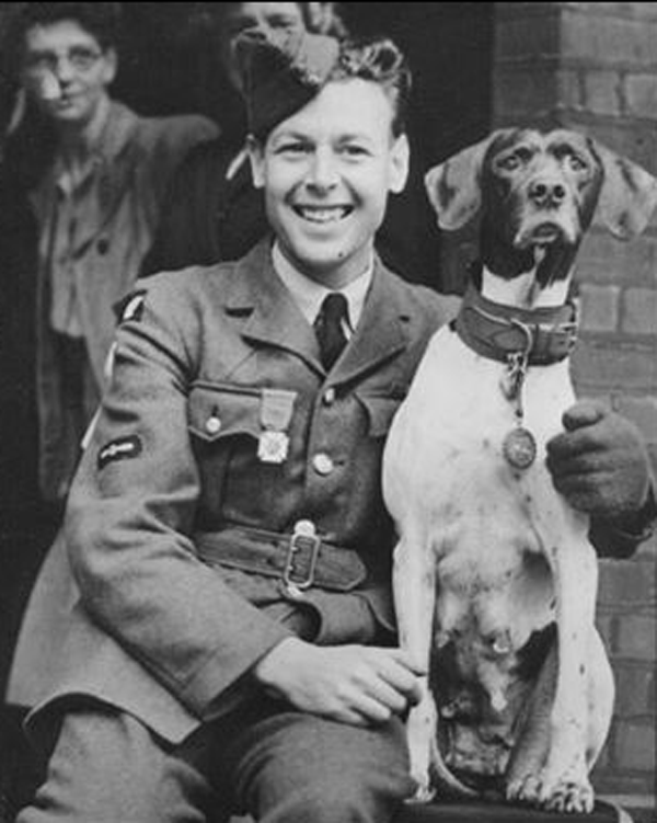 Judy, WWII Dog
